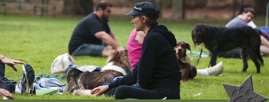 Contact Thank Dog! Bootcamp