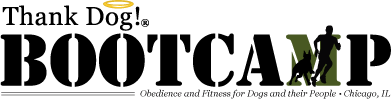 Thank Dog Bootcamp