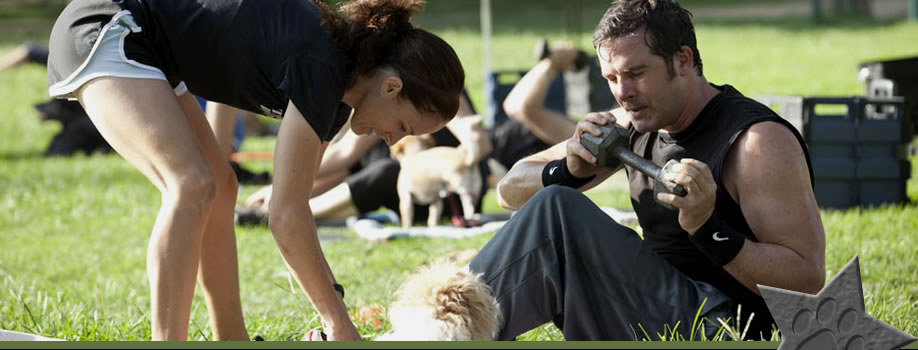 Contact Thank Dog! Bootcamp