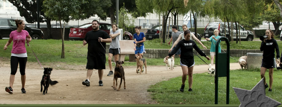 Contact Thank Dog! Bootcamp